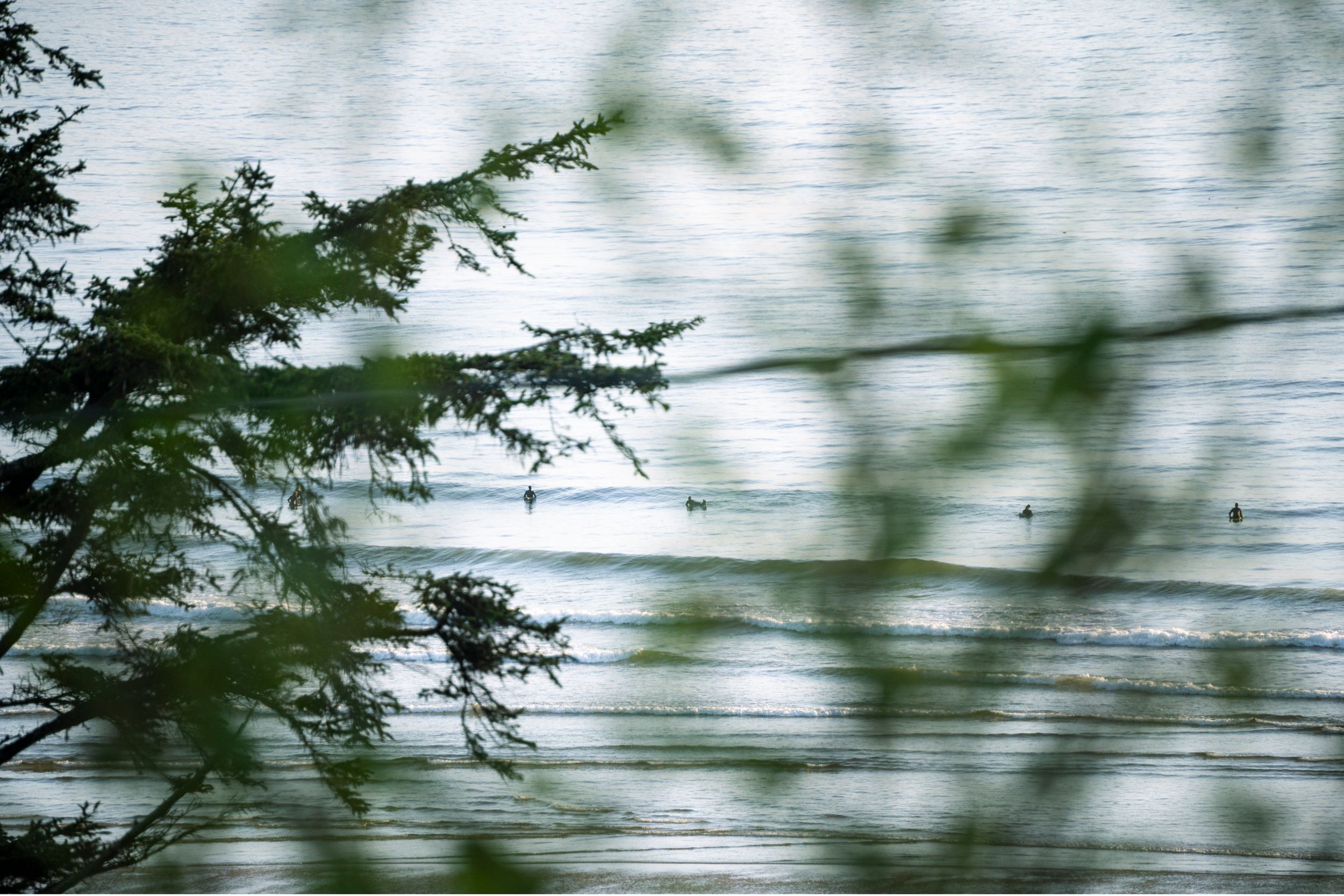 A Surfers Atlas13.png