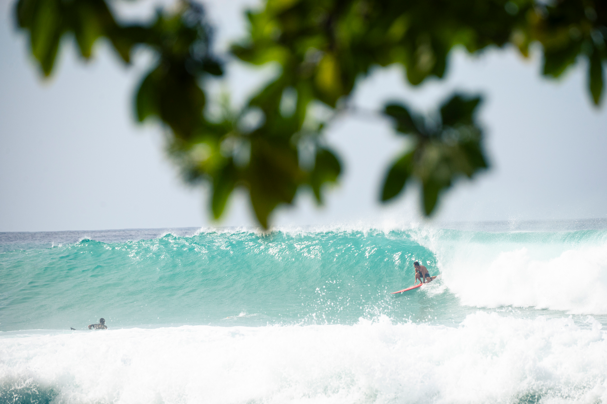 A Surfers Atlas27.png