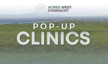 Pop-Up Clinics