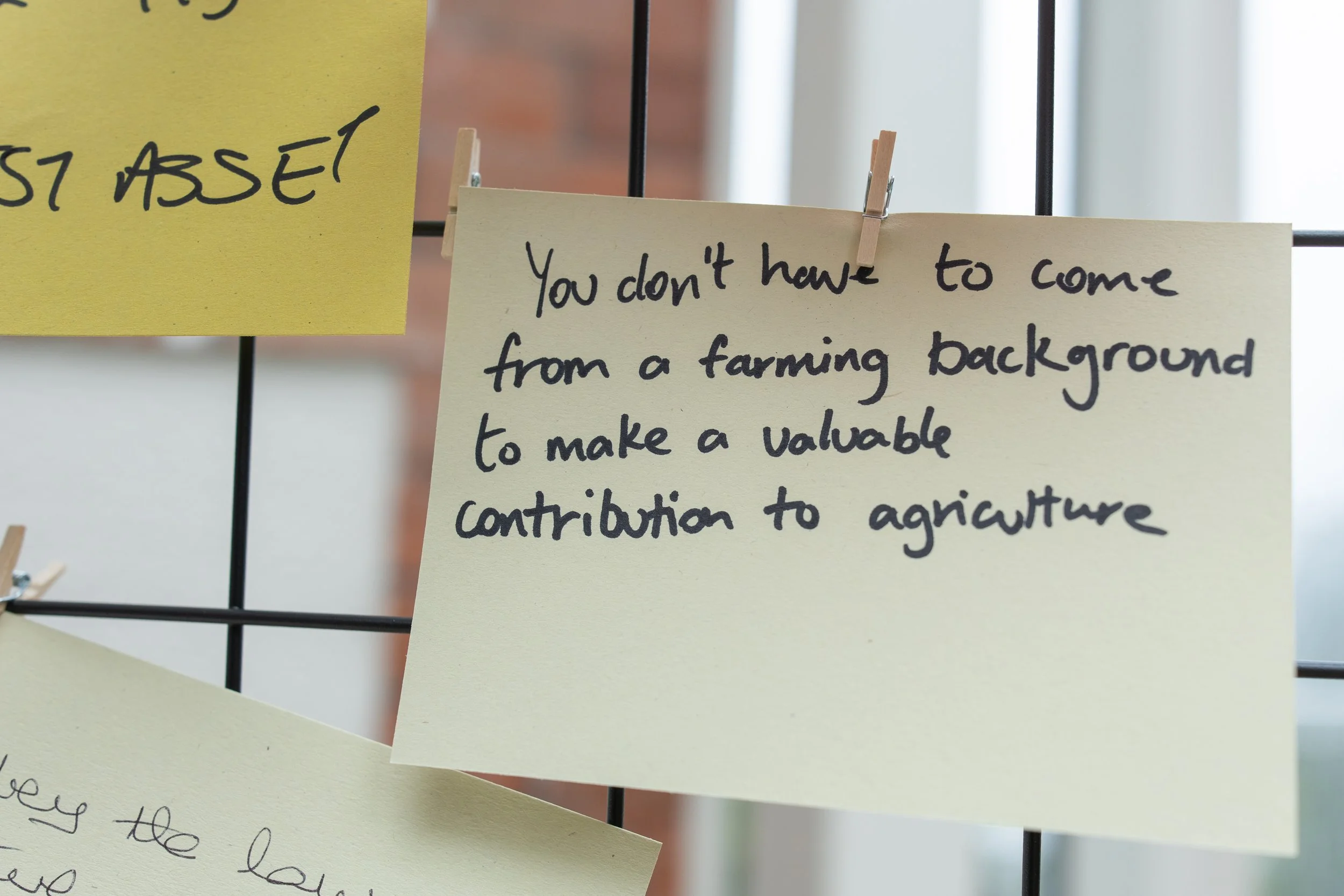 WomenInAg-218.jpg