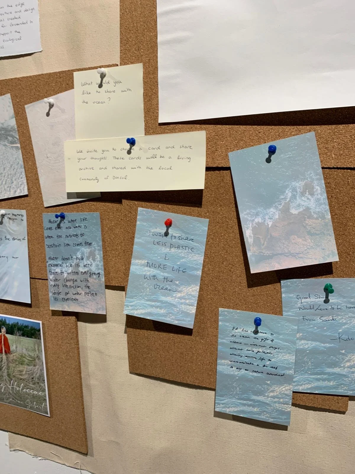 WhatsApp Image 2025-09-30 at 04.35.15 (3).jpeg