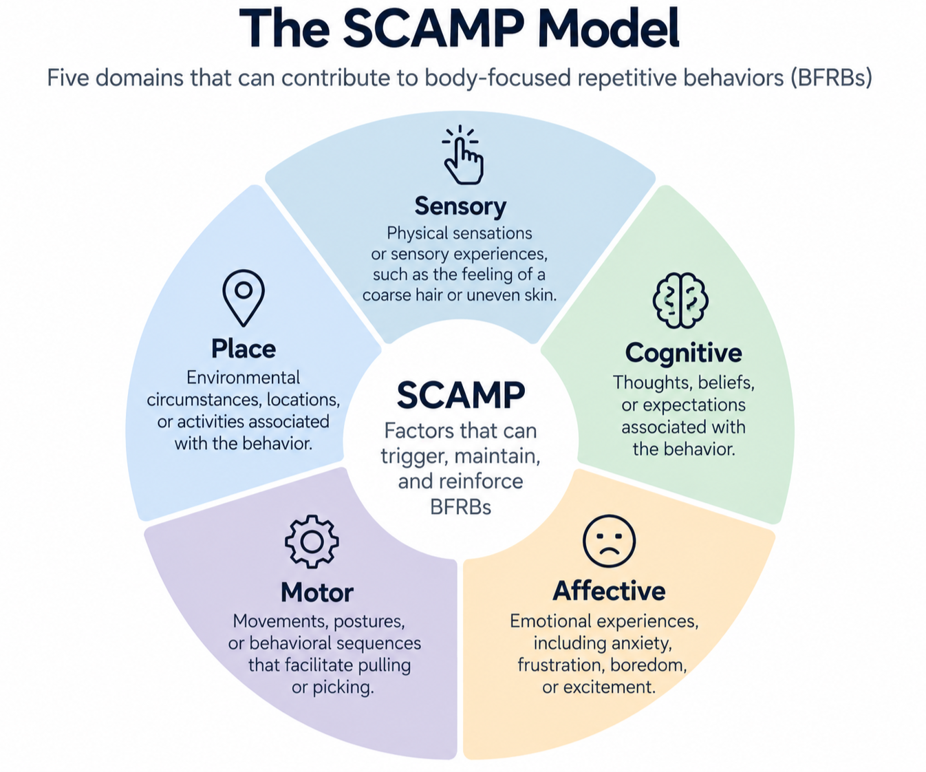 comb-scamp-model-bfrb.png