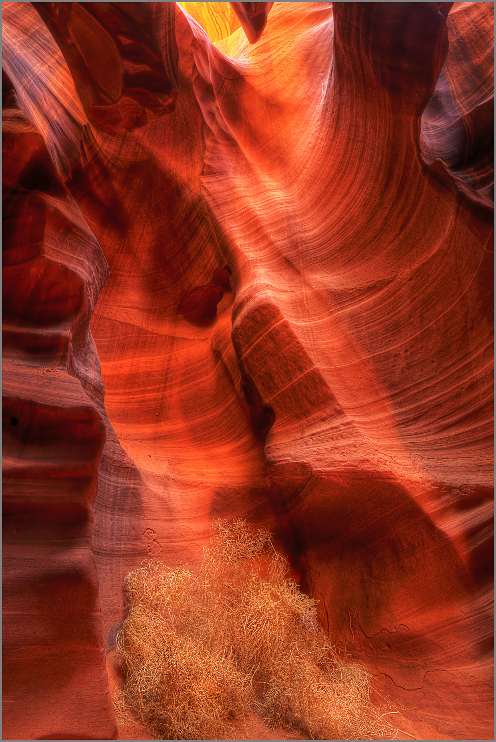 Tumbleweed - Antelope Canyon