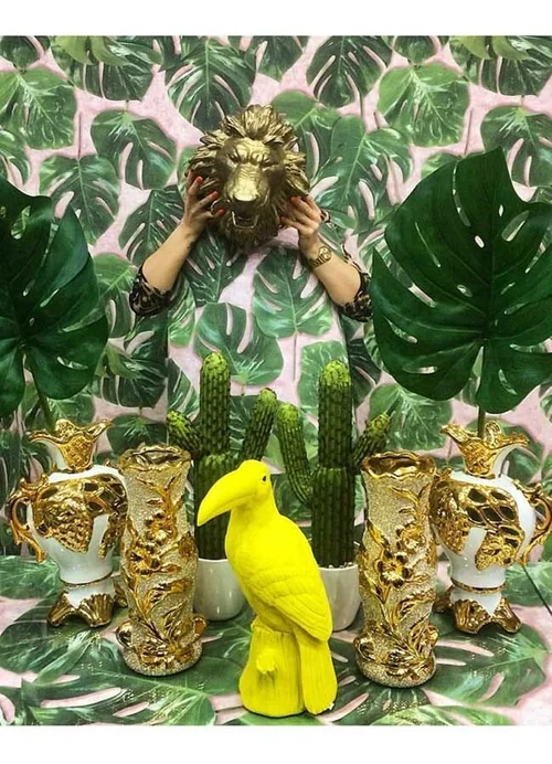 Tropical Popical