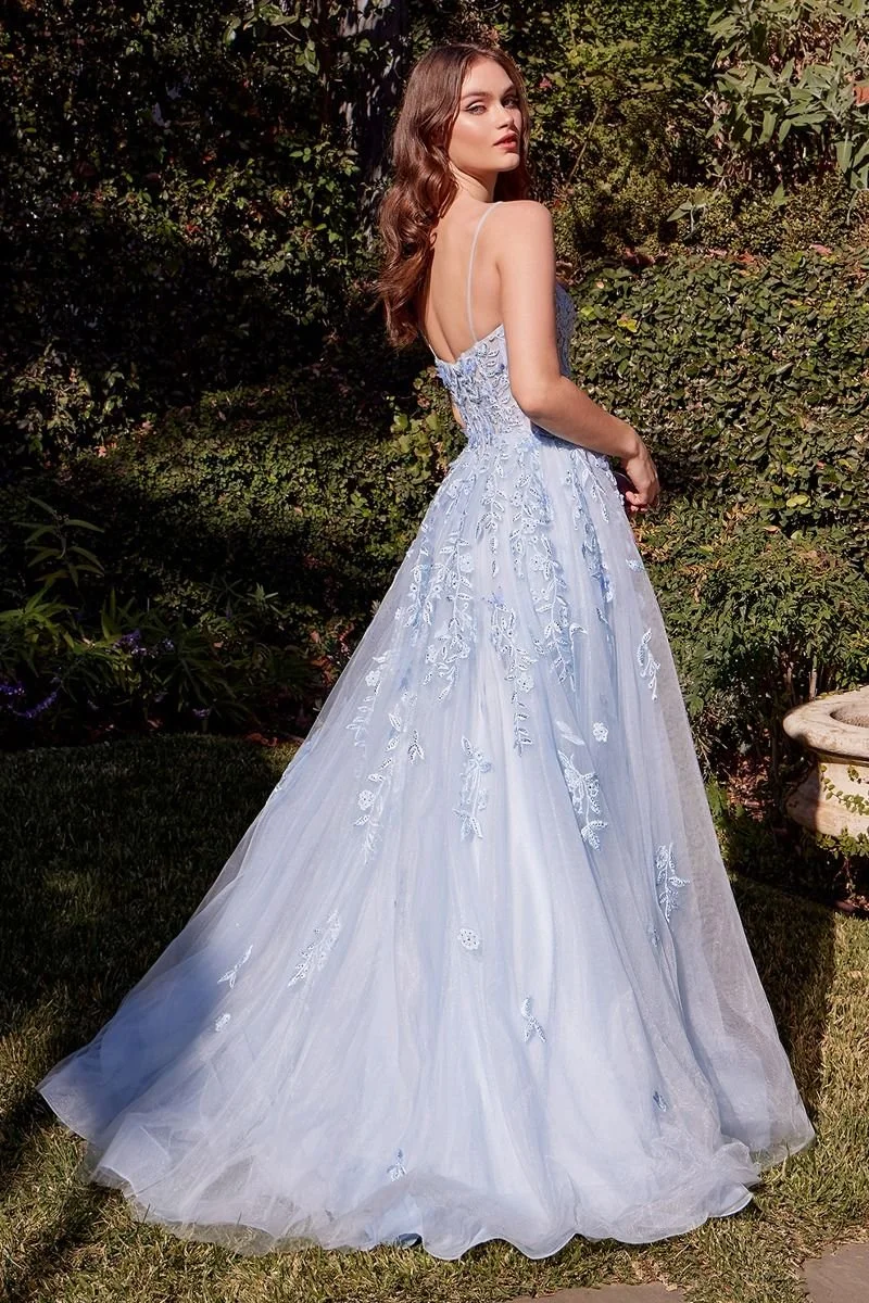 a1437_lt--blue_back.jpg