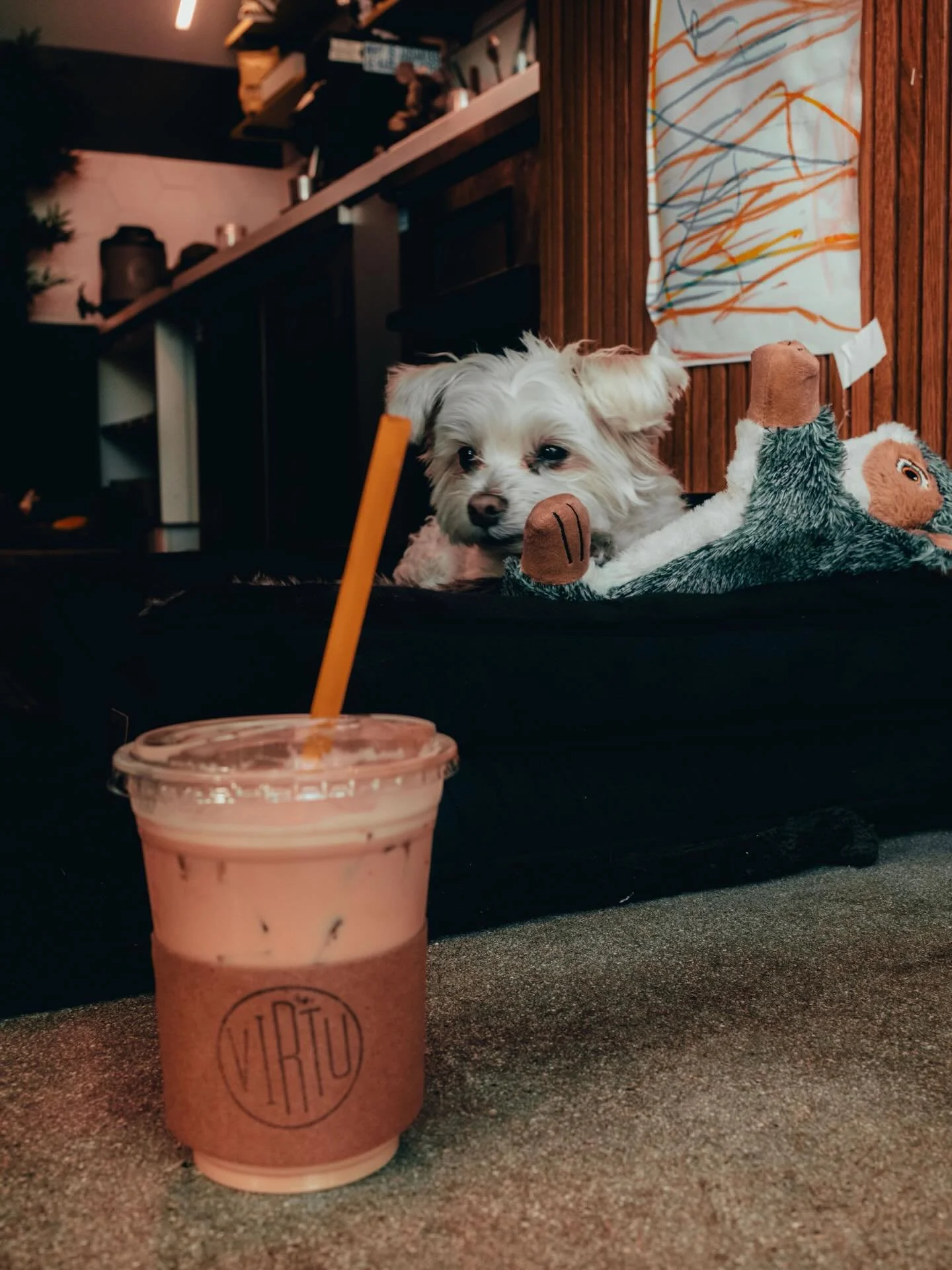 Coffee + @melo_pup 
.
.
#virtucoffee #coffeeshopdog #losangelescoffee #dtlacoffee #coffeeshopvibes