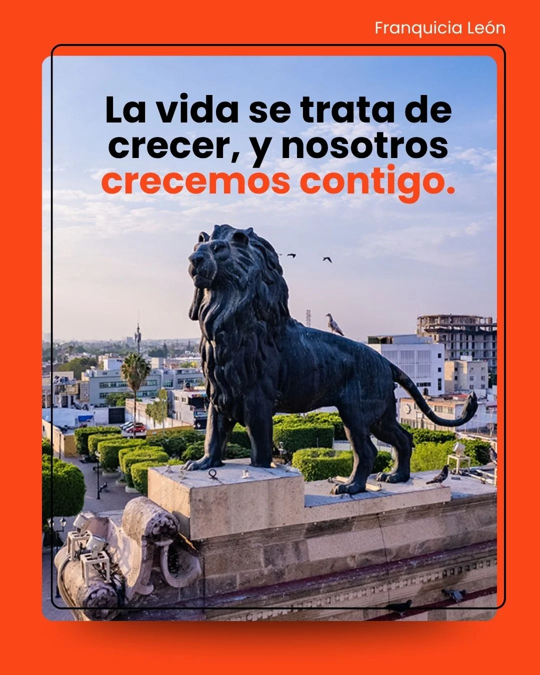 ¡Descubre proximamente nuestras nuevas y mejoradas unidades!
Diseñadas especialmente para adaptarse a todo lo que necesites almacenar.📦🔑
📲Comunícate por nuestra línea de atención para recibir más informac