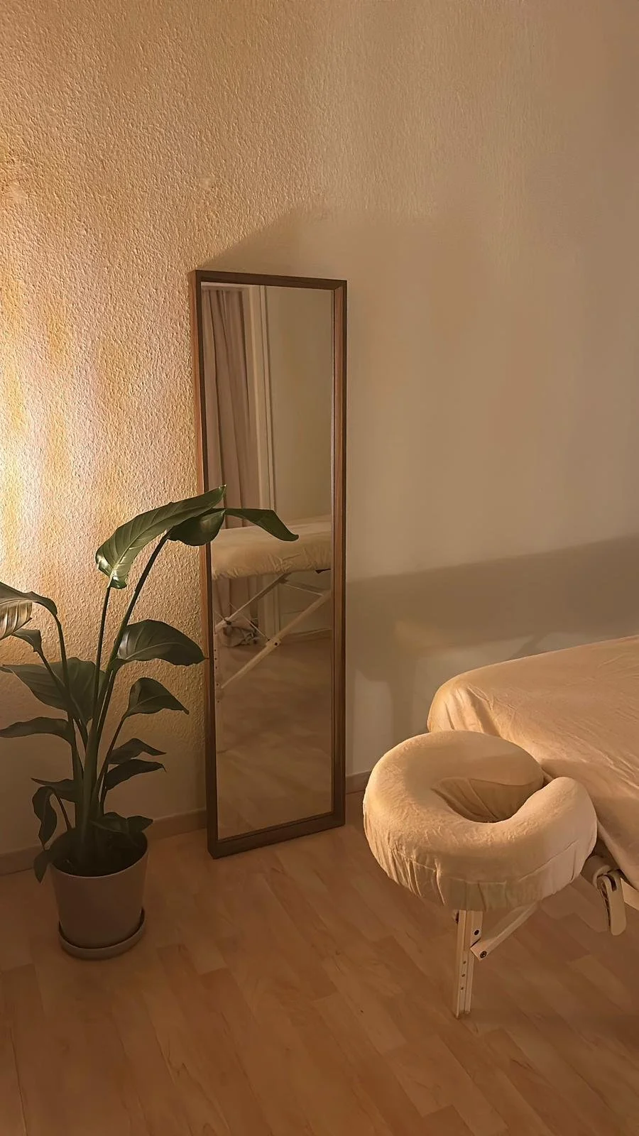 Traditionelle Chinesische Medizin Hannover Döhren.jpeg