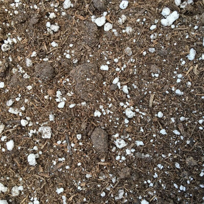 Potting mix - the secret Sauce