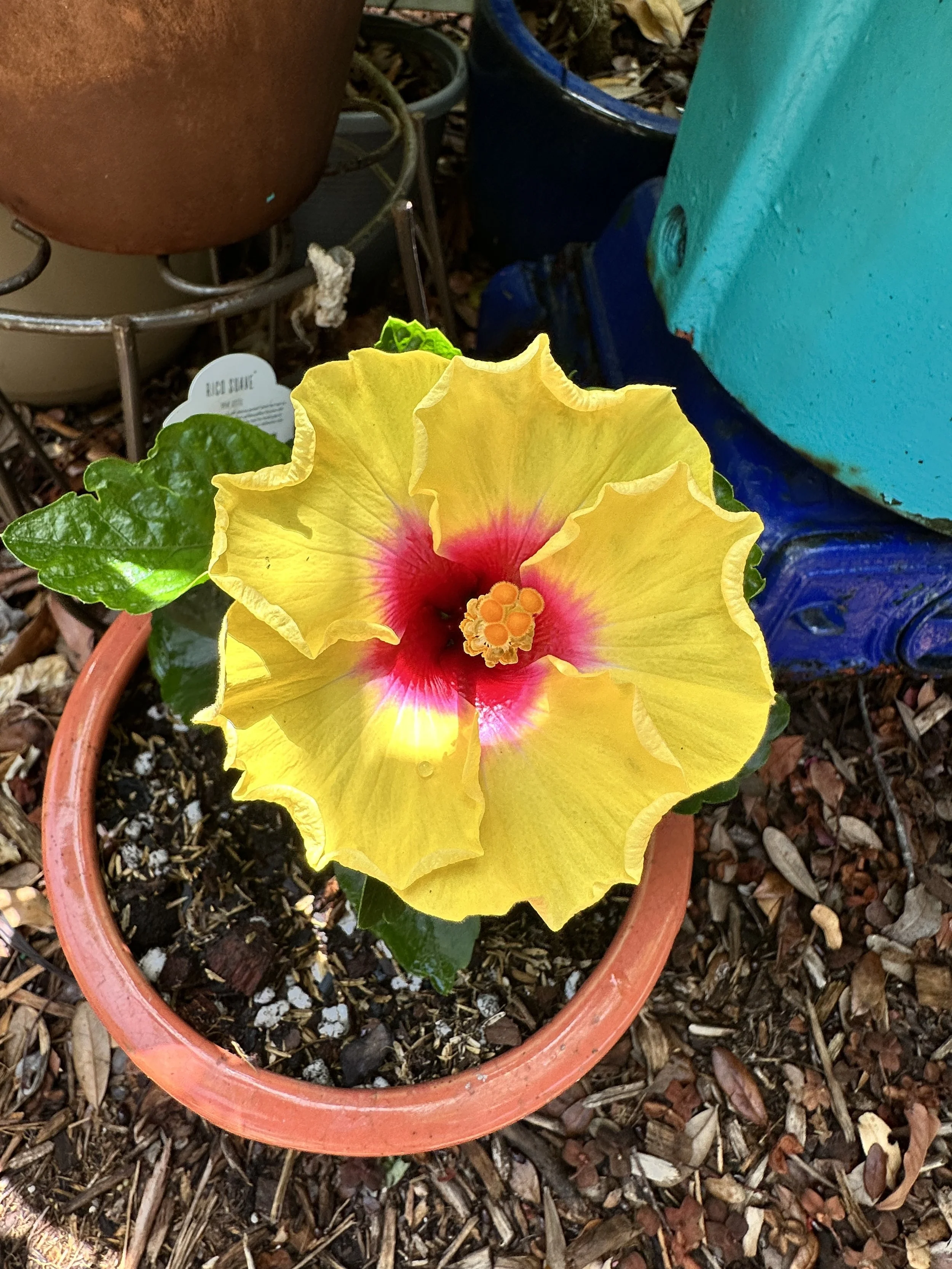 Soil Making and Recipe