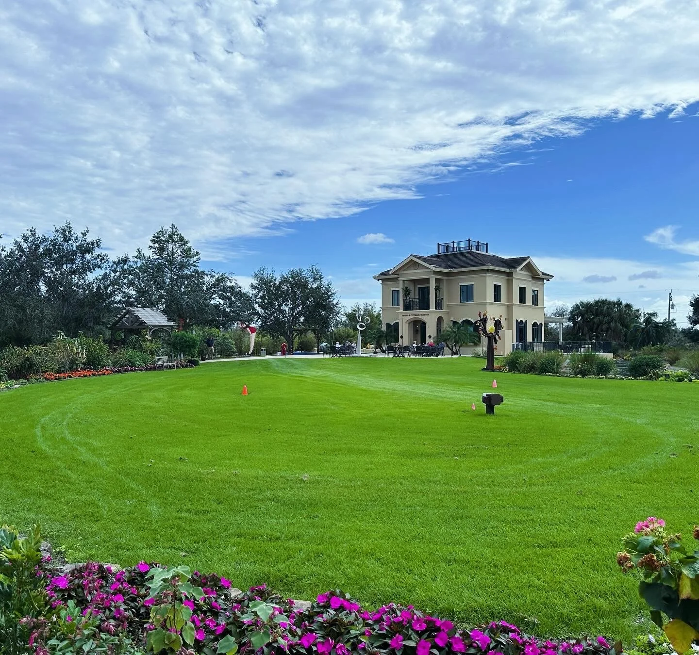 Diary of a Gardener - January is Over