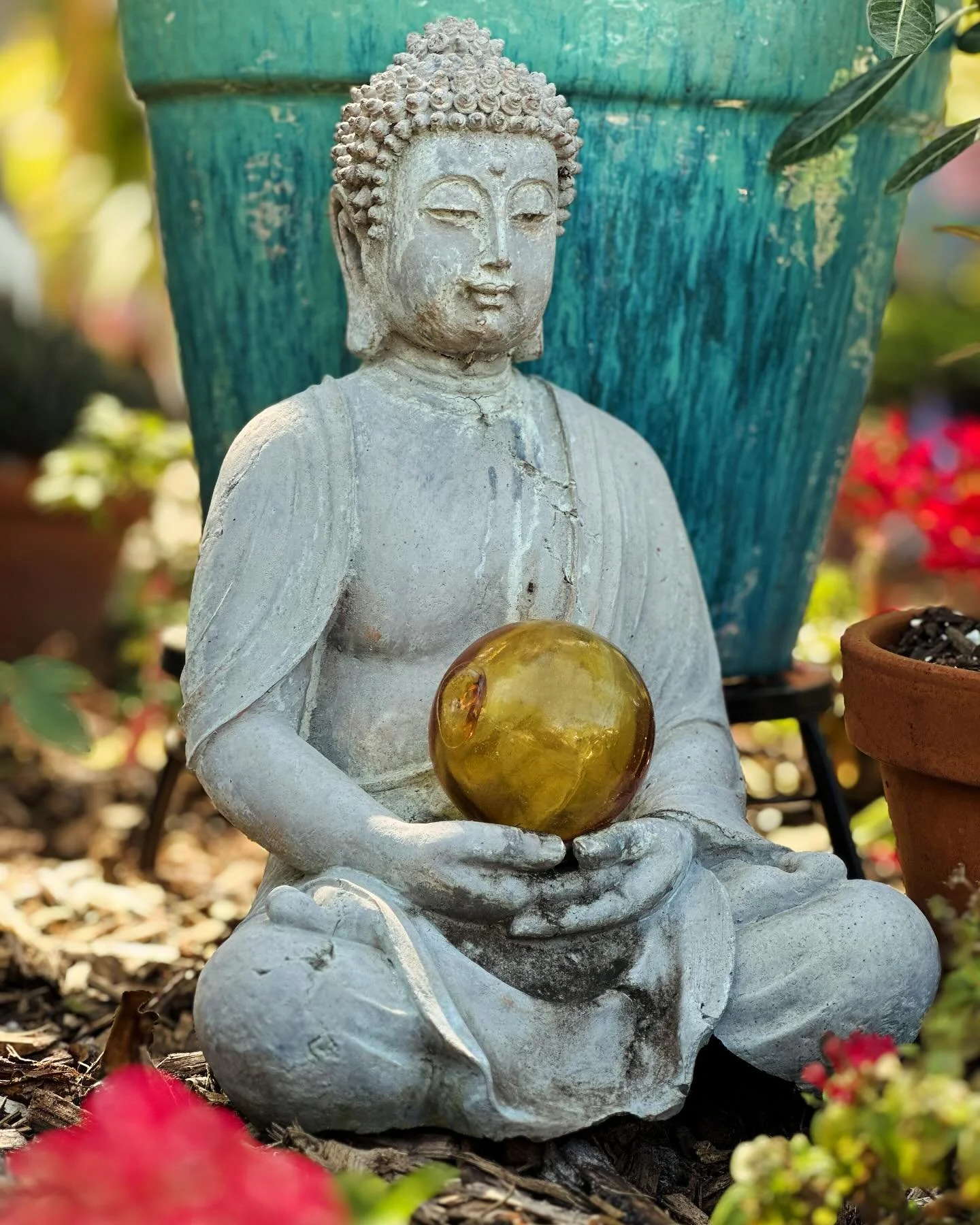 Diary of a Gardener Sometimes Life is Hard - Go Garden