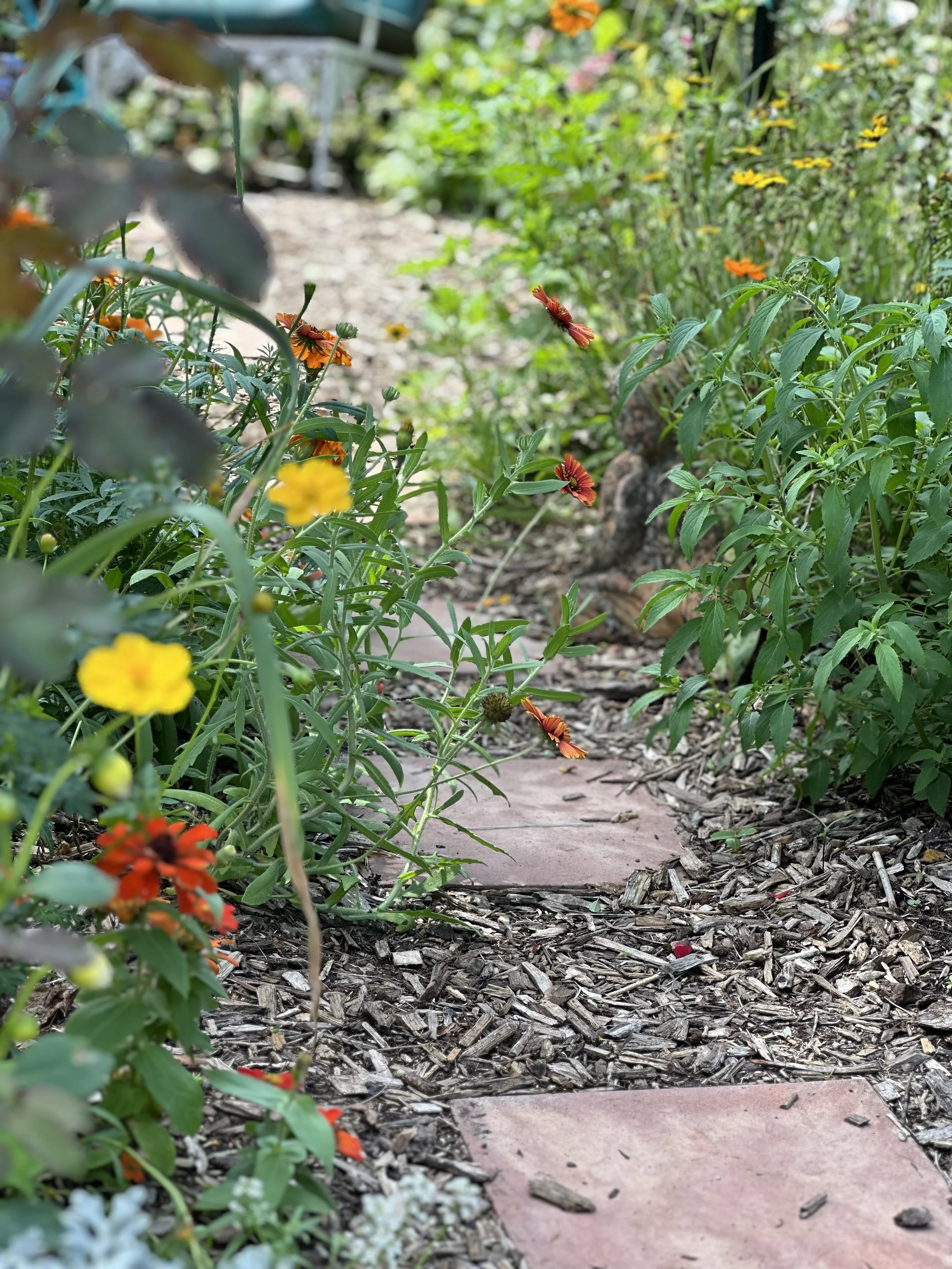 Diary of a gardener - An Anthophile