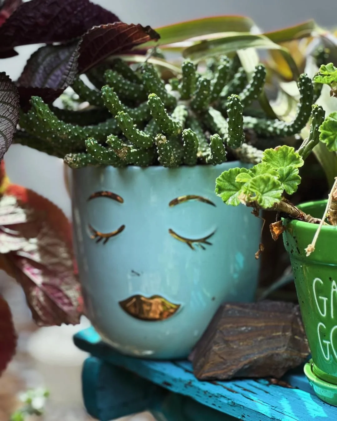 Diary of a Gardener - Gardens are a reflection of you