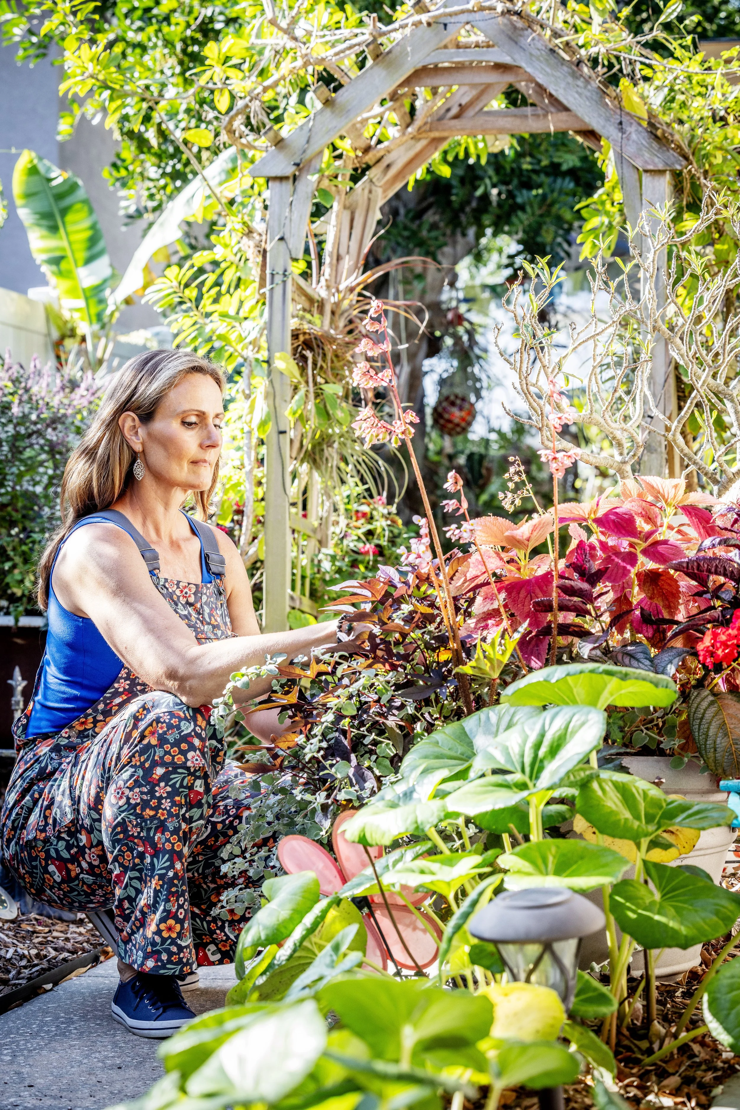 Diary of a Gardener Summer Pruning 