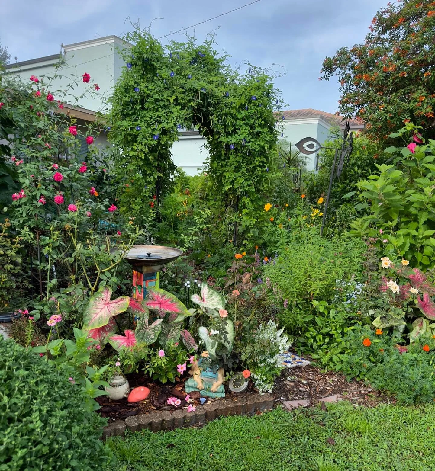 Diary of a Gardener In the Wake of Helene