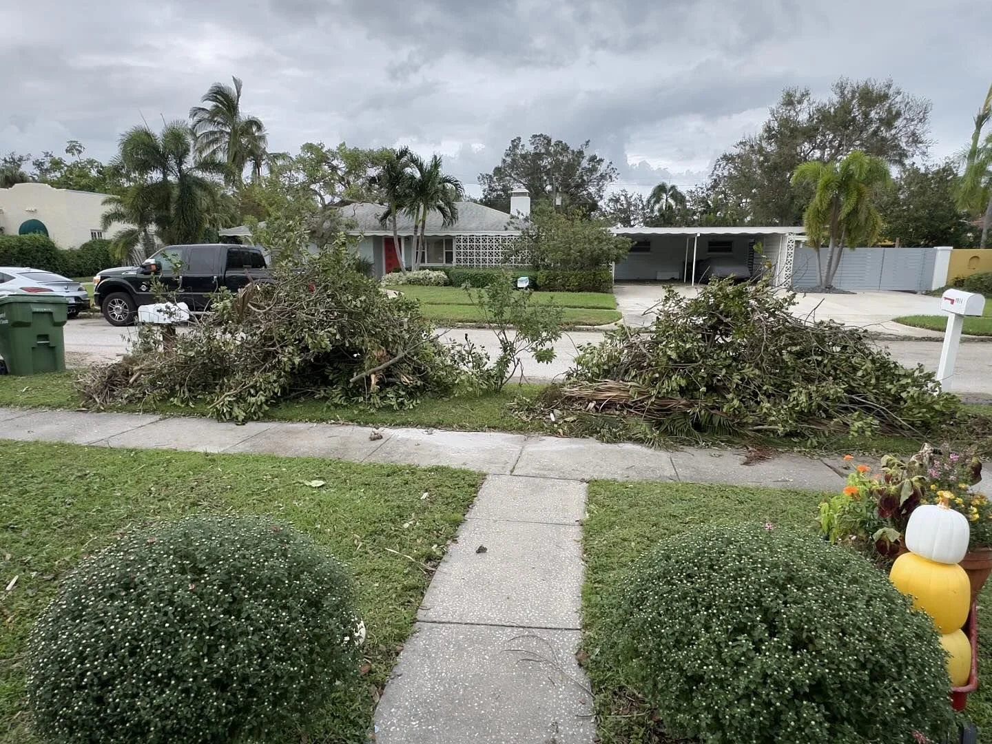Diary of a Gardener Enough with The Hurricanes