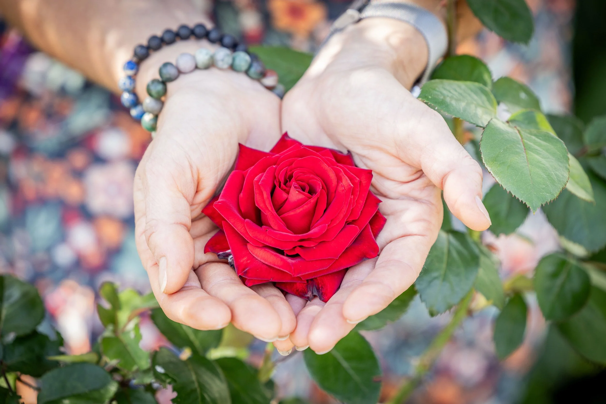 Diary of a Gardener Where do we Go From Here
