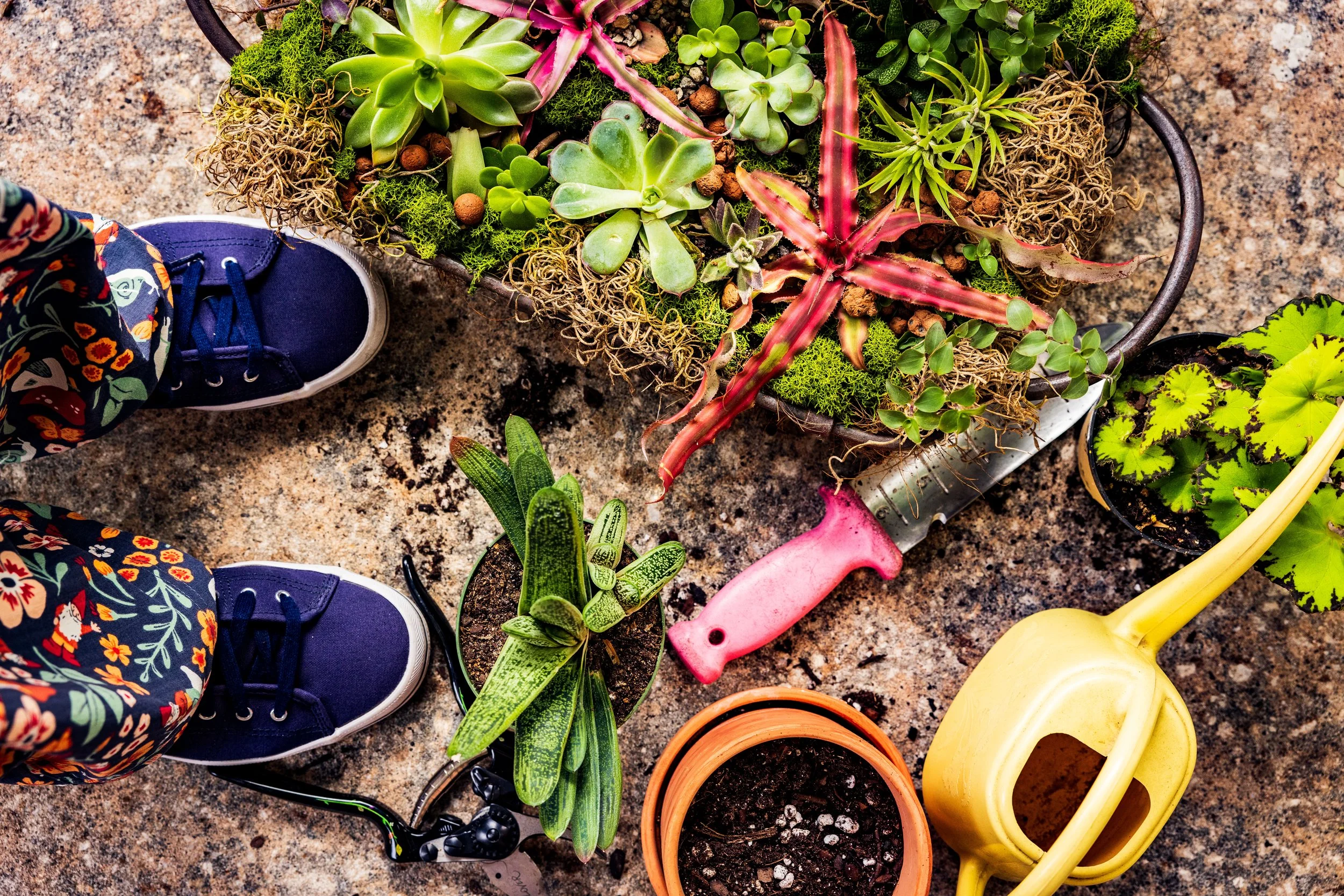 Diary Of a Gardener Christmas yet?
