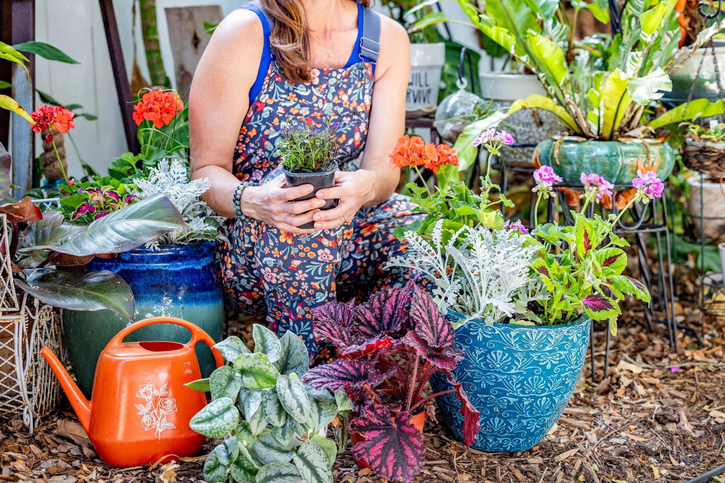Diary of a Gardener What The Garden Teaches You