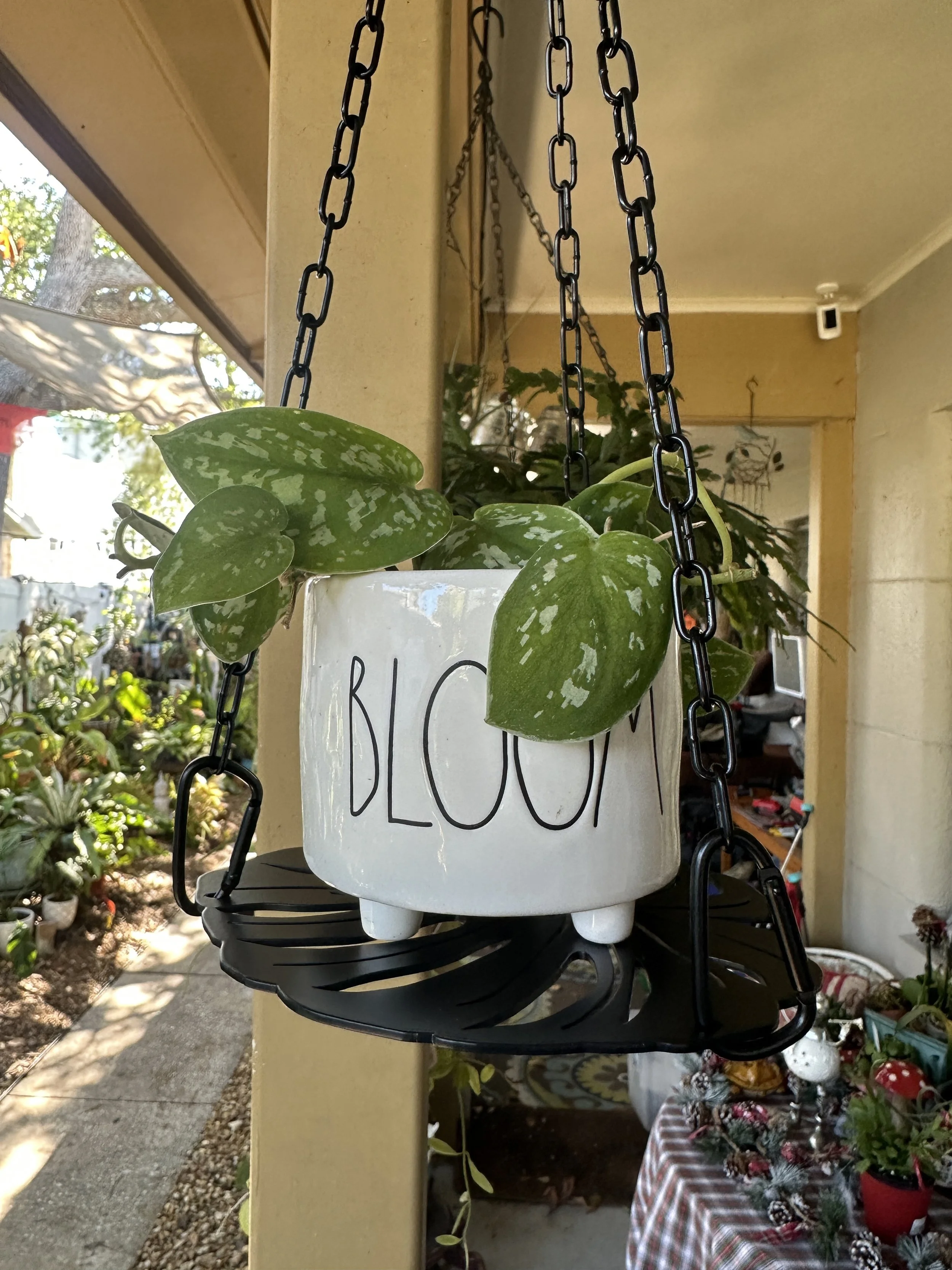 Diary of a Gardener My Favorite 2025 Products