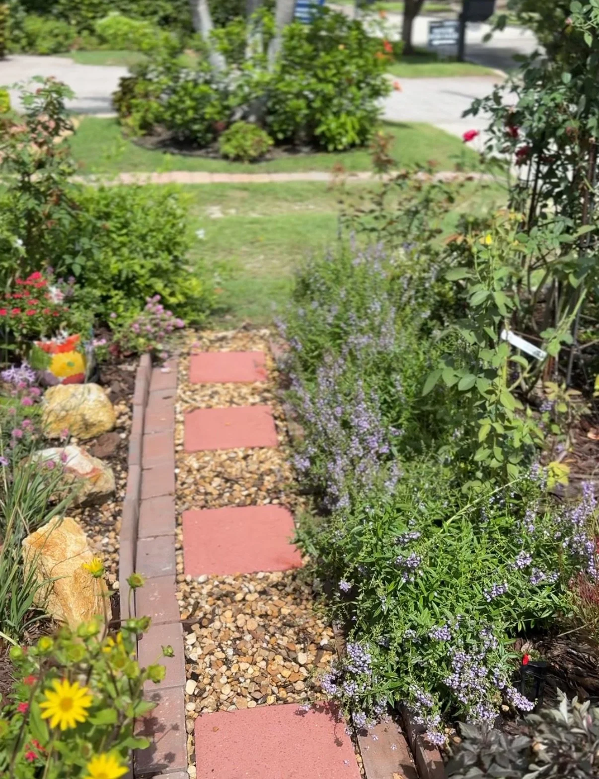 Diary of a Gardener - To Mulch or Not to Mulch... and Rock? That Is the Question.