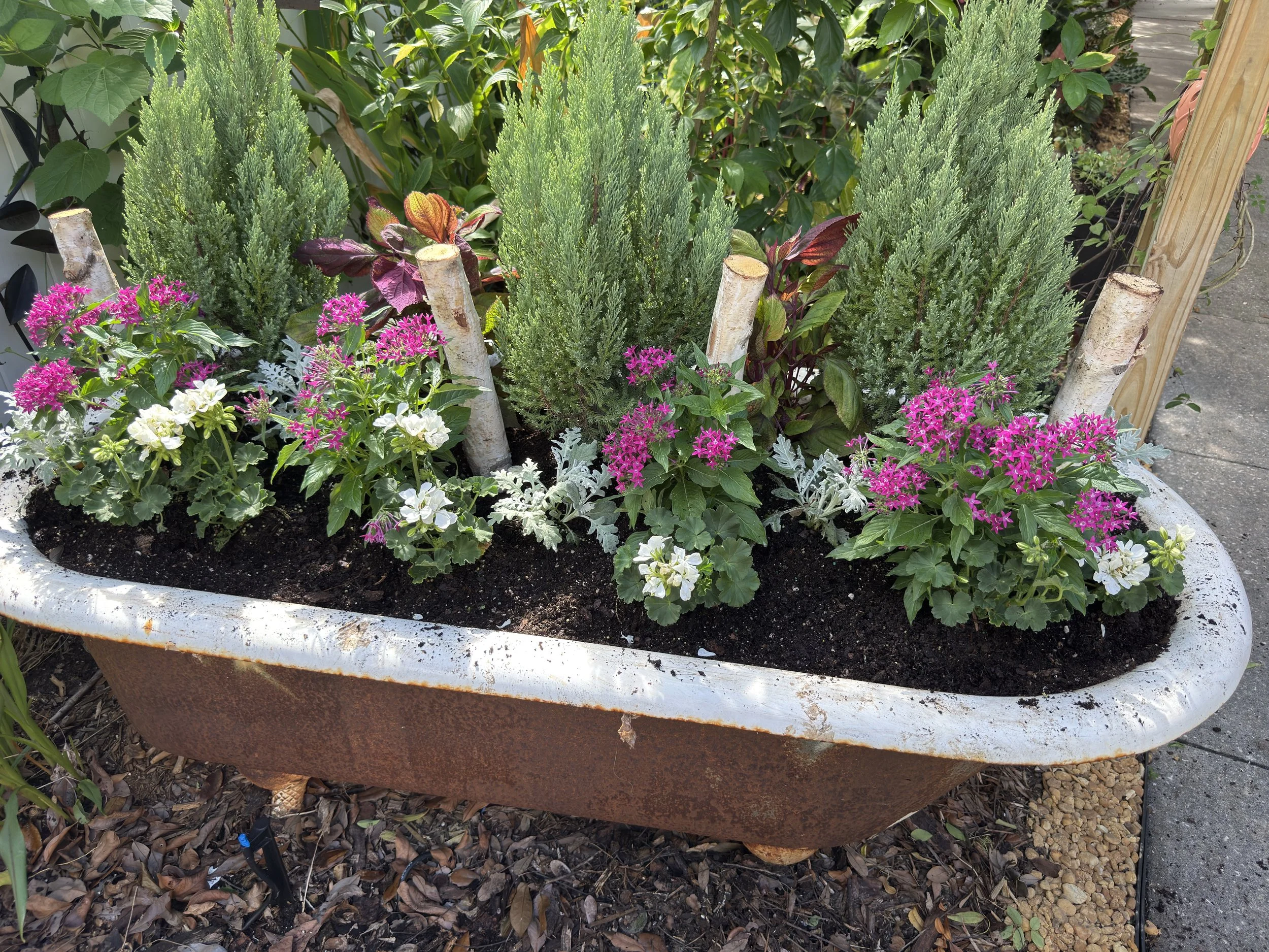 Entertaining Outdoors in Fall – Tips for Cooler Evenings, Outdoor Lighting, and Seasonal Planting