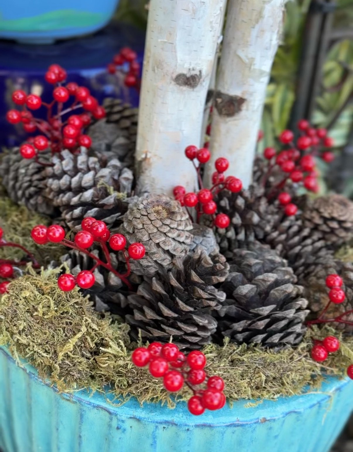 Cold Damage in the Garden: How to Prepare, What to Look For, and How to Help Plants Recover