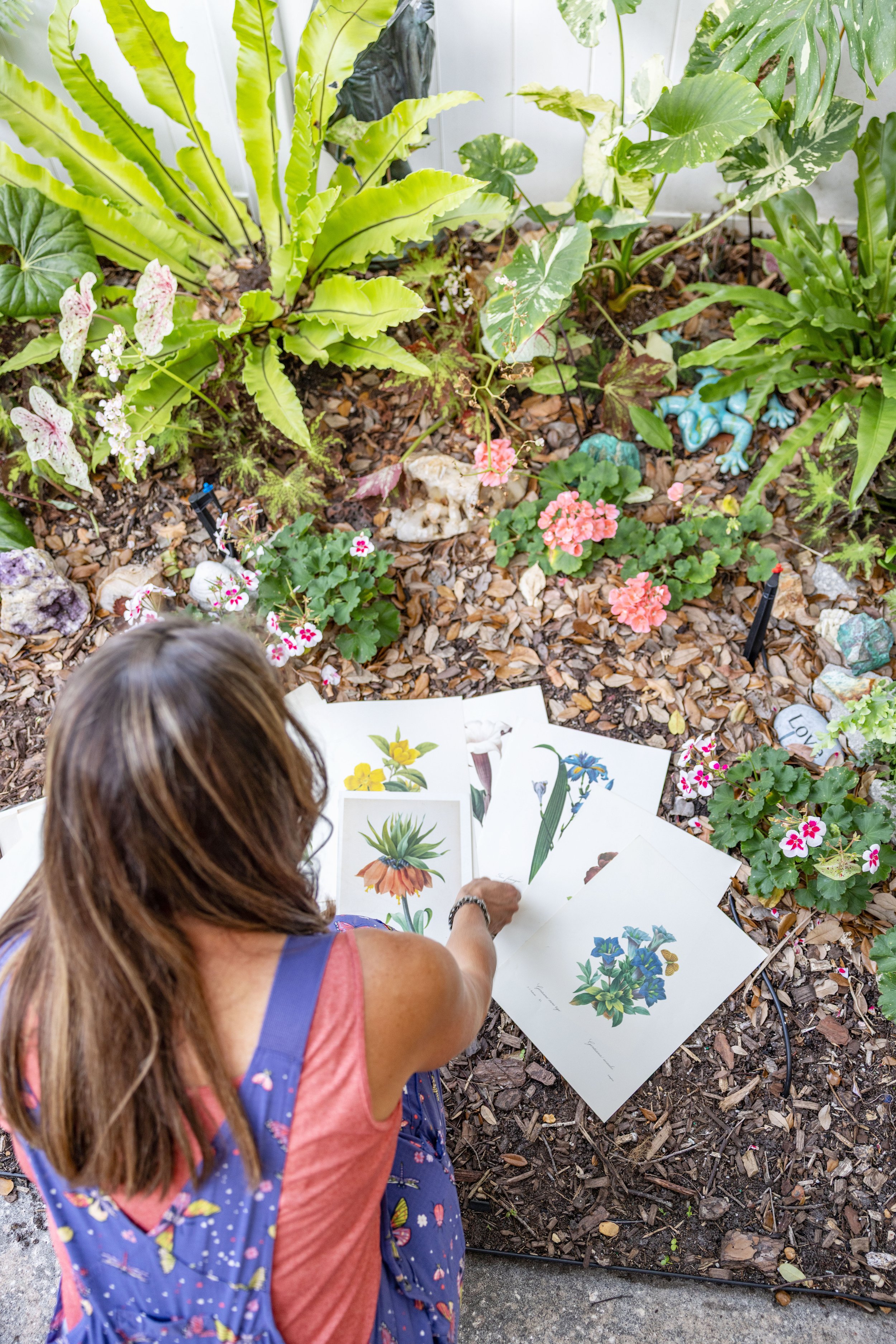 Buying the Right Plant Won’t Fix a Garden With No Plan