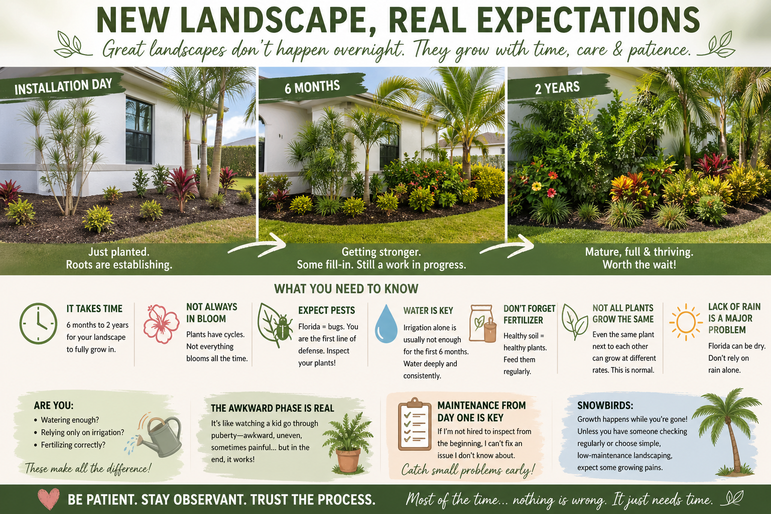 What to Expect After a New Landscape Installation (Florida Edition)