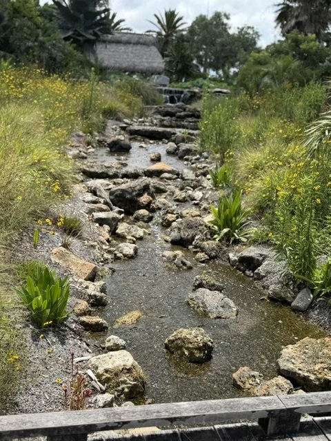 Naples Botanical Garden: A Must-See for Florida Garden Lovers