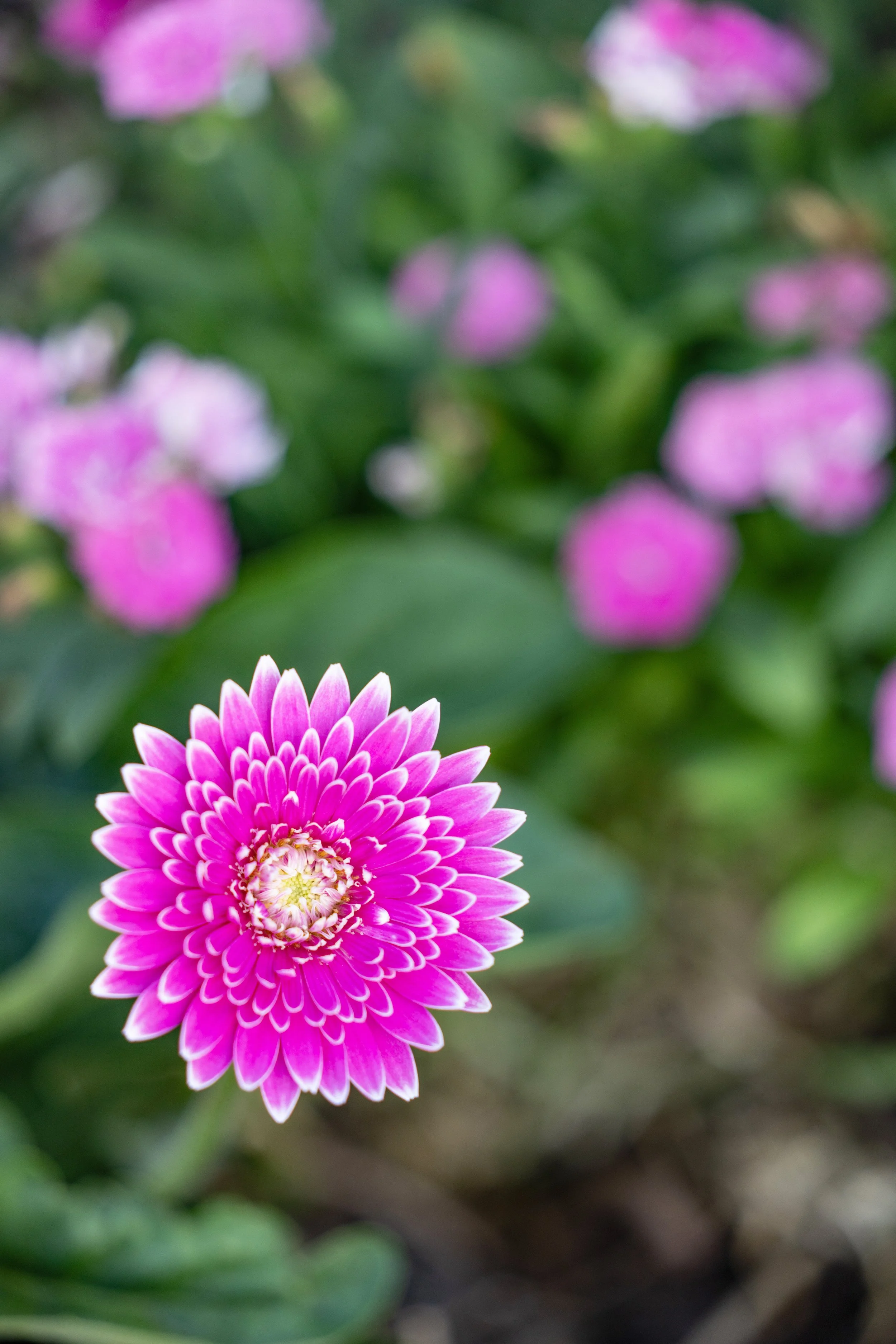 What Does "Established" Really Mean? (And Why It Matters More Than You Think)