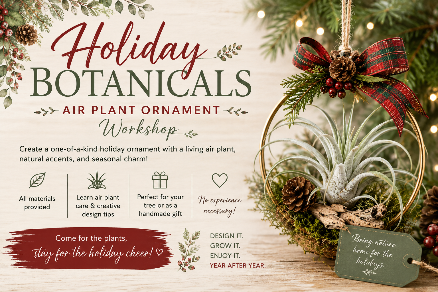 Holiday Botanicals: Air Plant Ornament Workshop