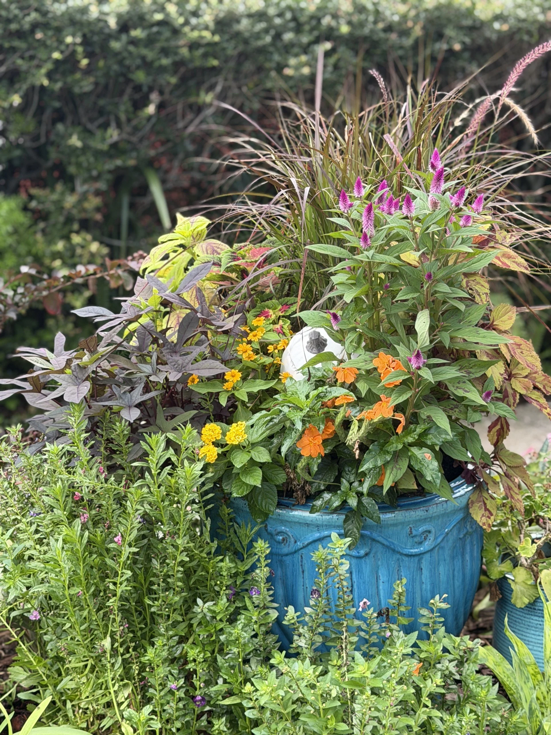 Fall Garden Tour
