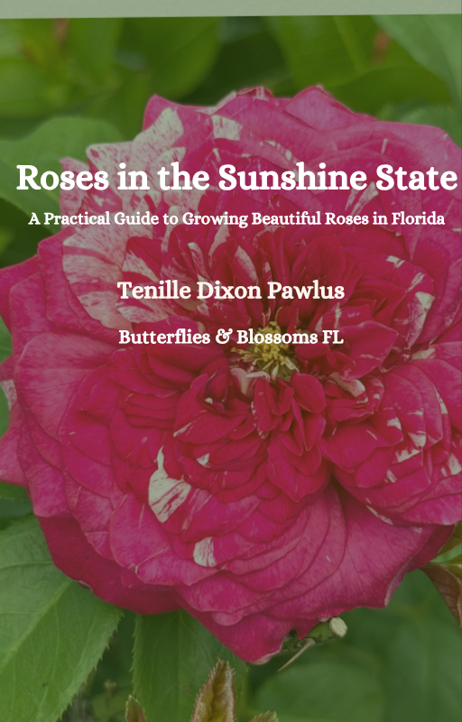 Roses in the Sunshine State: A Practical Guide to Growing Beautiful Roses in Florida