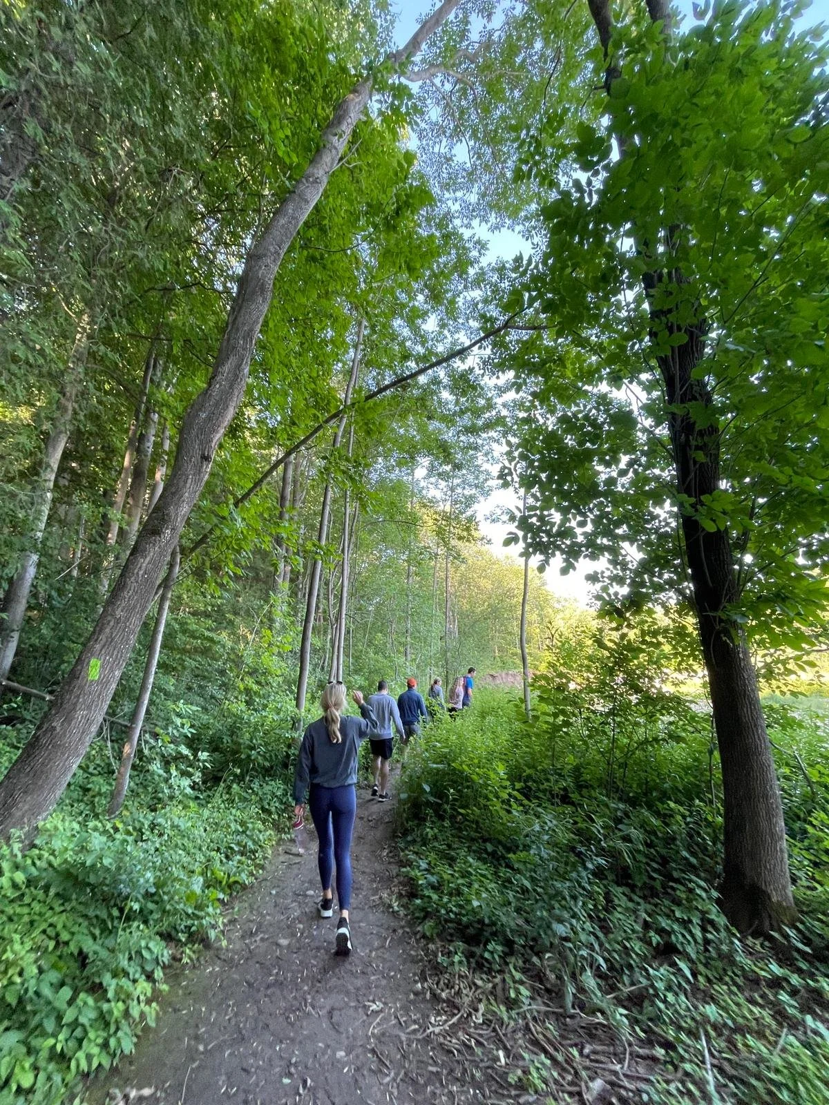 A group of people are hiking on a dirt trail through a dense green forest, walking away from the camera.