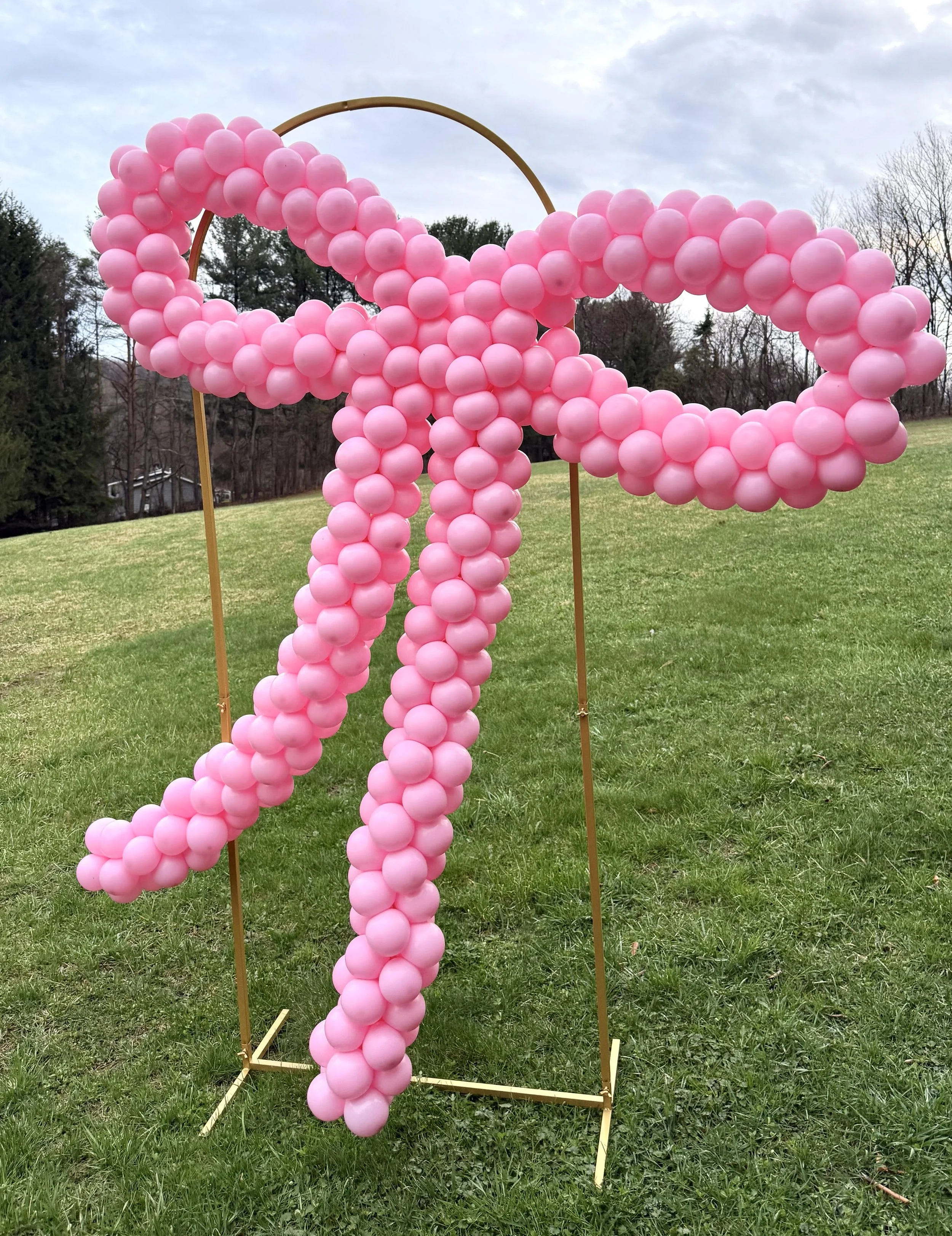 Pink Bow.jpg