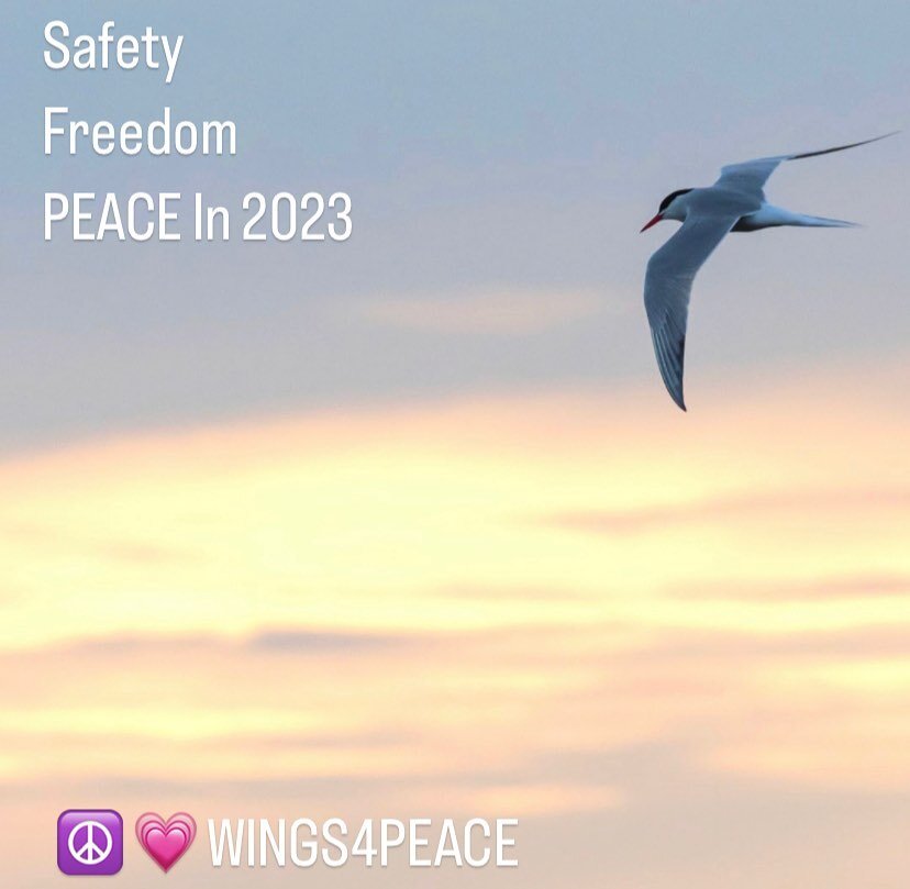 May 2023 bring us another step closer to peace.🦋