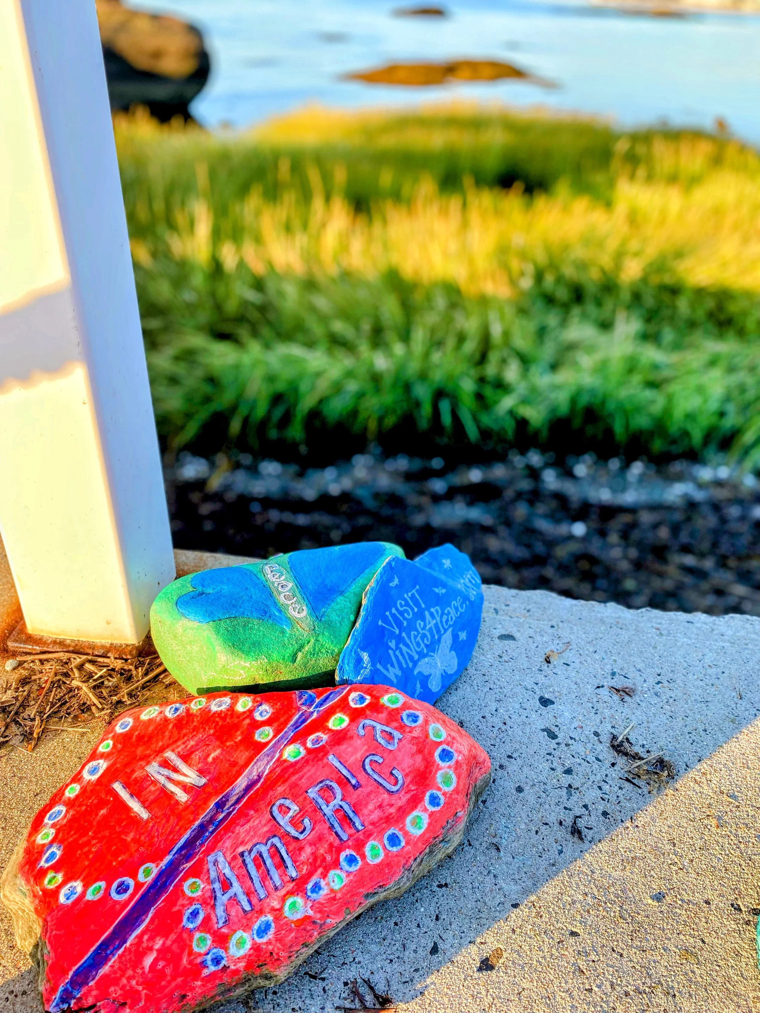 IMG_4864 Copy Copy.JPG