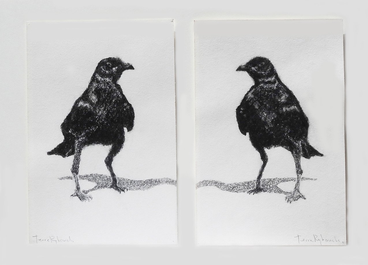 Obra de Terre Rybovich