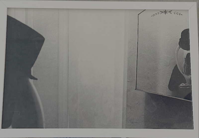 Mirta Mirror and Reflection 1973.png