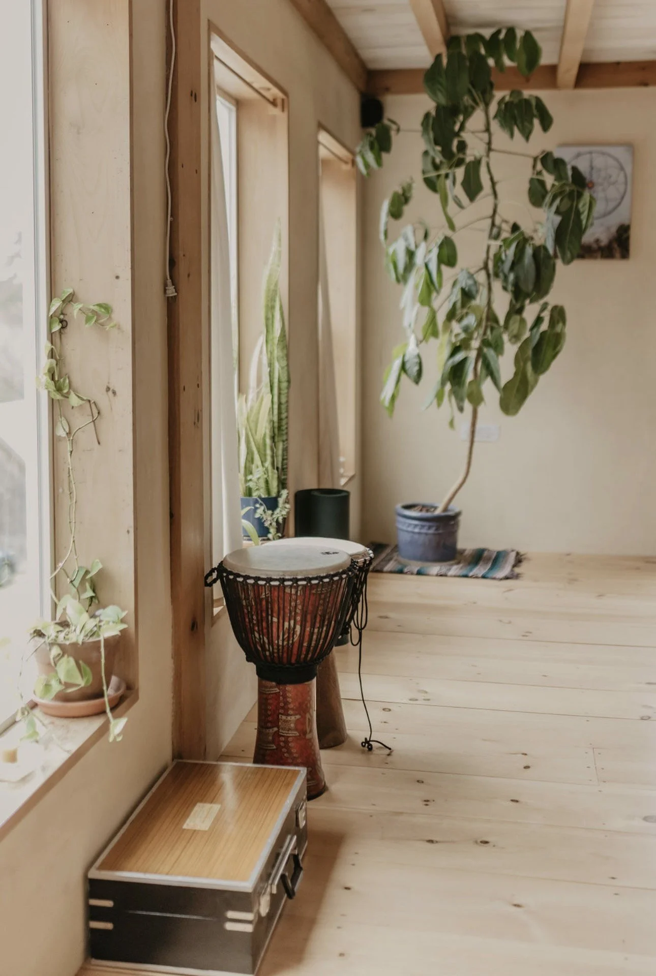 spirit baby channeling Nevada City, what is a spirit baby reading, how does spirit baby communication work, can you communicate with unborn babies, what happens in a spirit baby session, how to talk to your future baby, when to get a spirit baby read