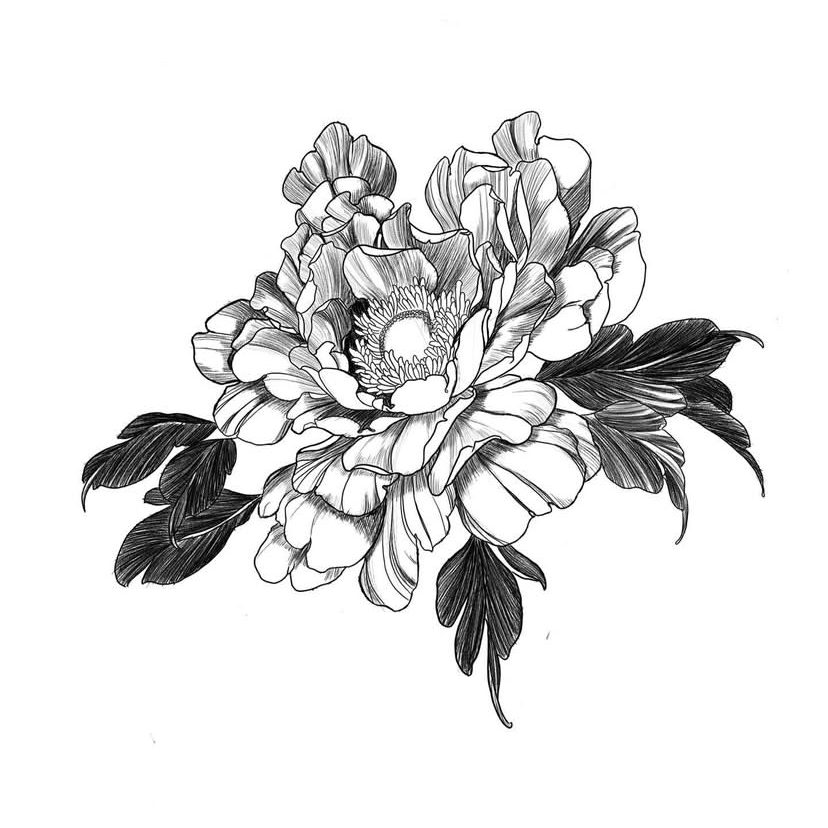 IMG_0979.PNG