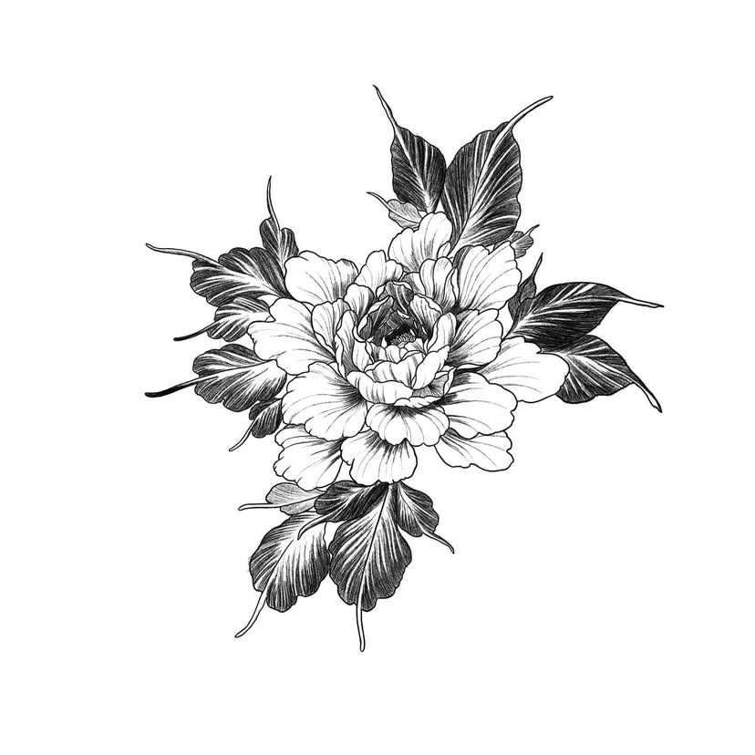 IMG_0978.PNG