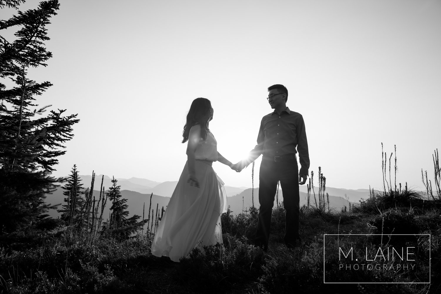 What Couples Really Think About Eloping — M. Laine Photography