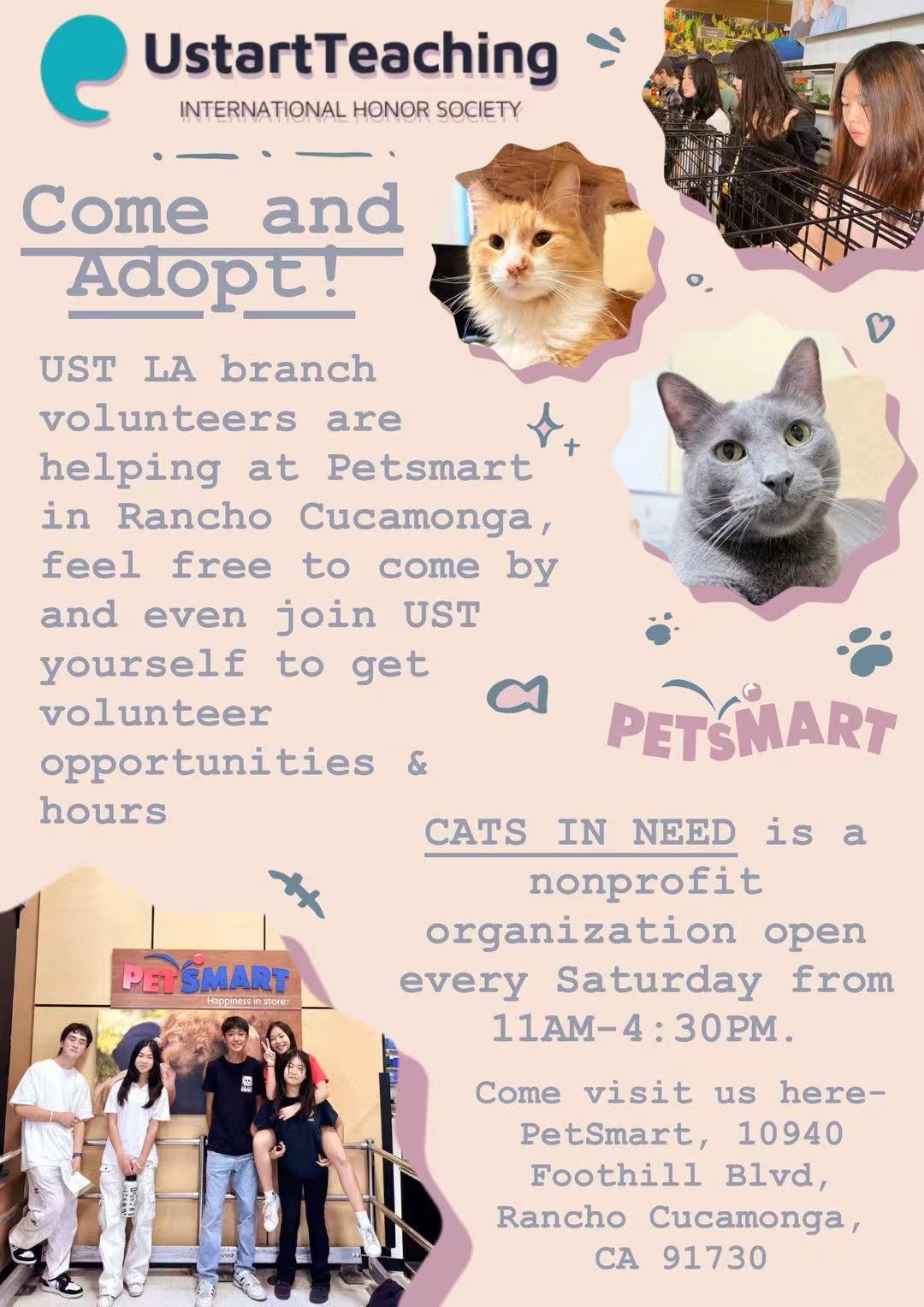 Cats In Need - Student Volunteer Service