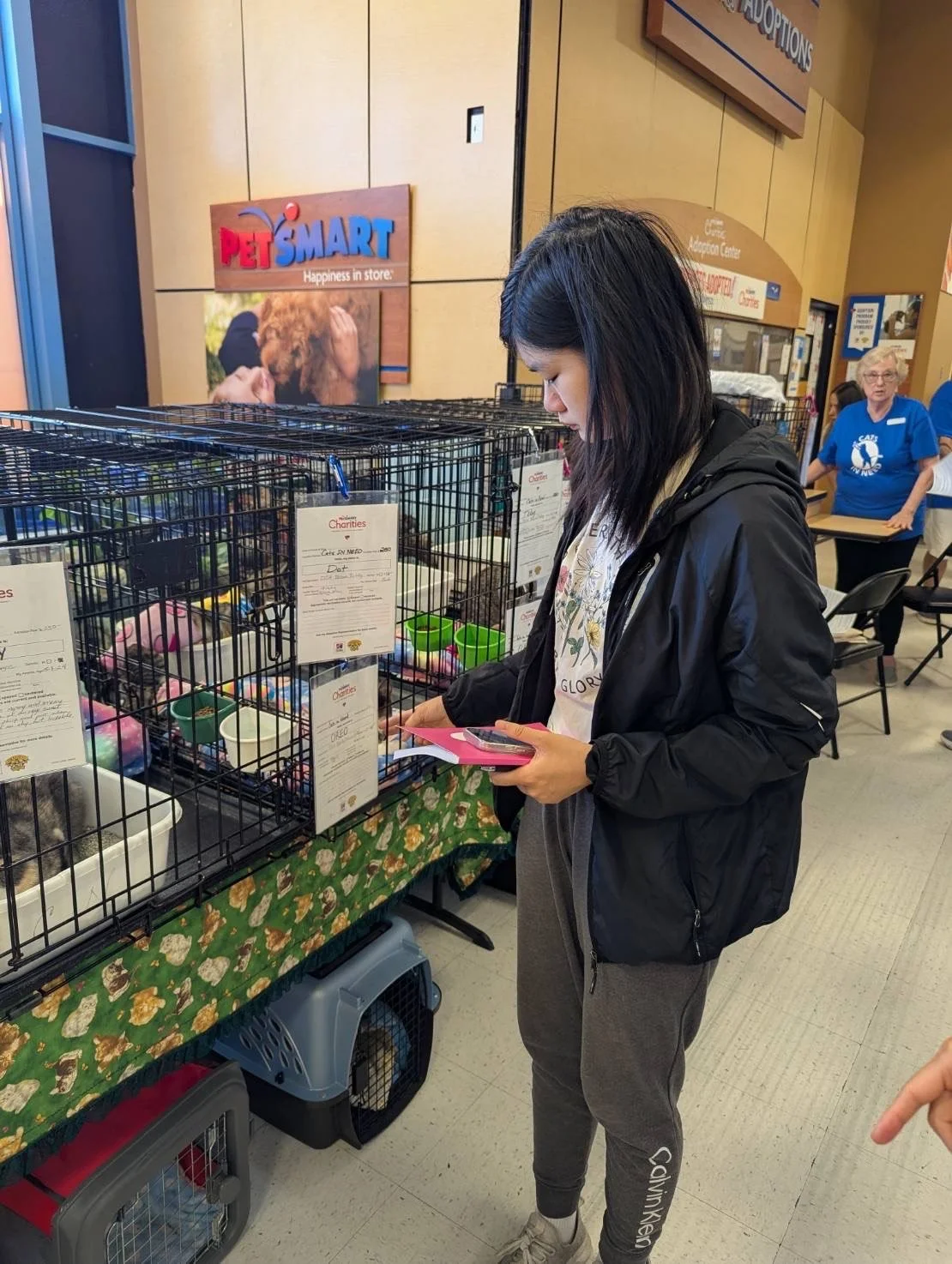 Cats In Need - Student Volunteer Service