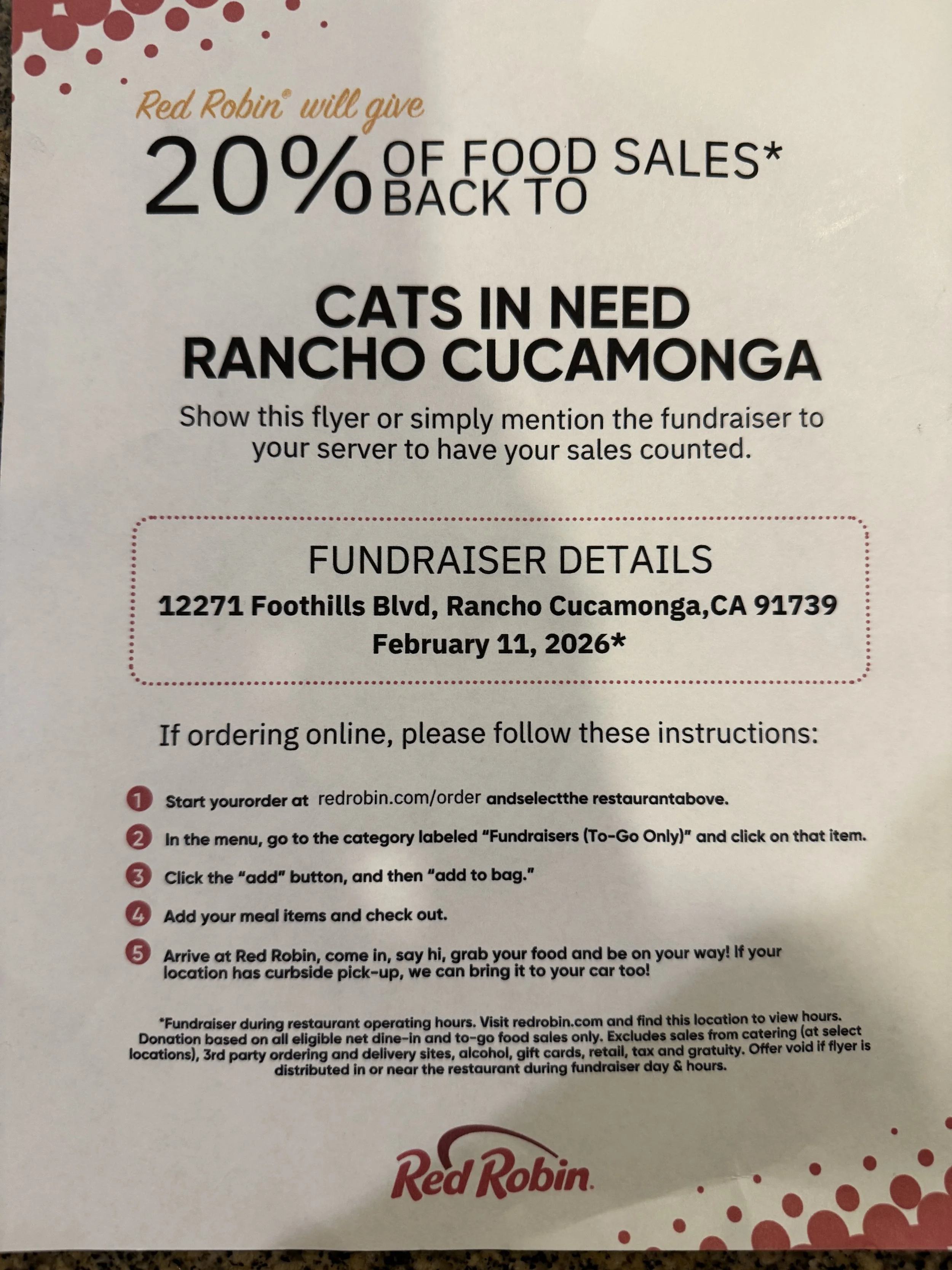 Cat In Need Fundraiser