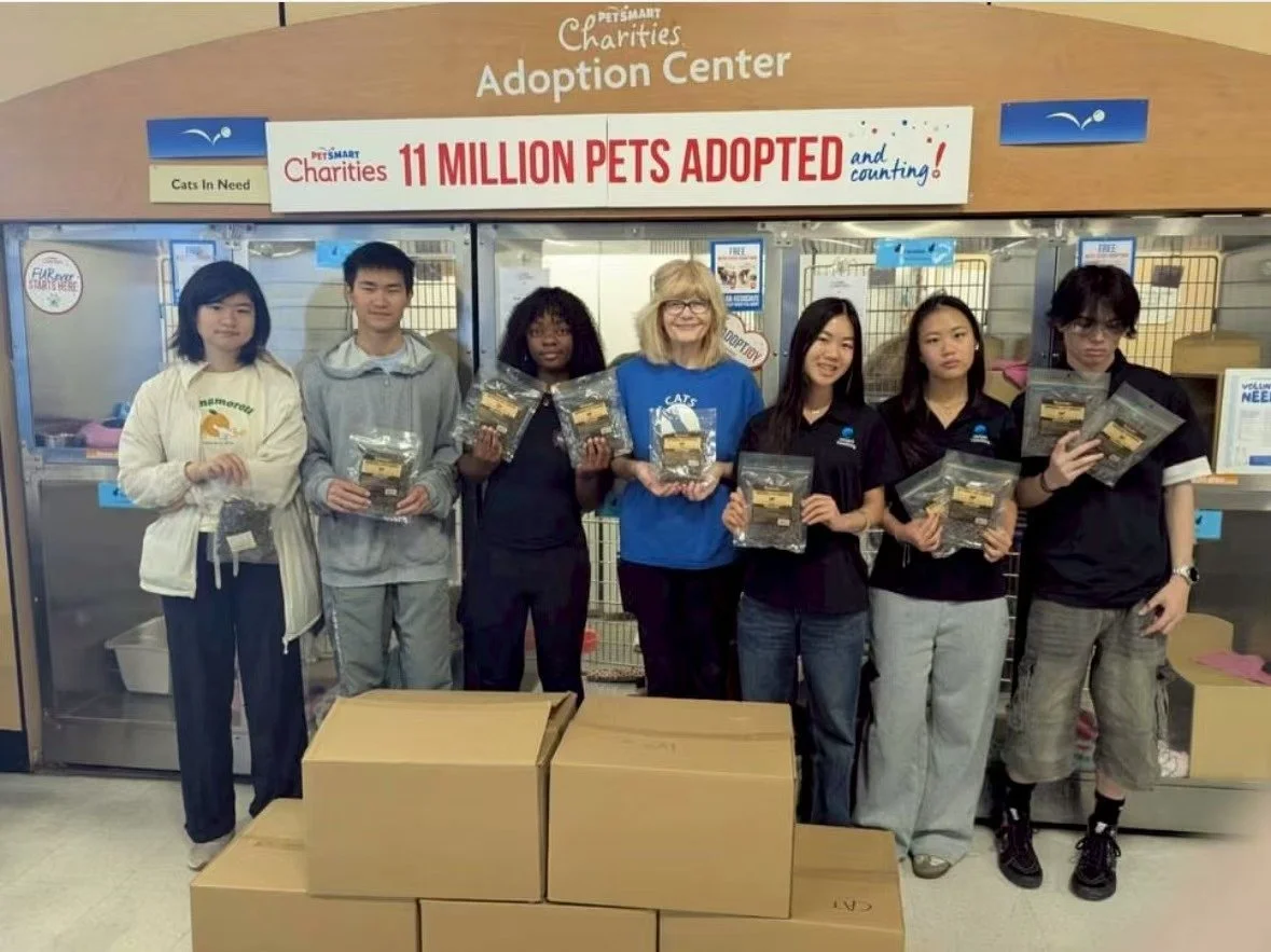Cats In Need - Student Volunteer Service 