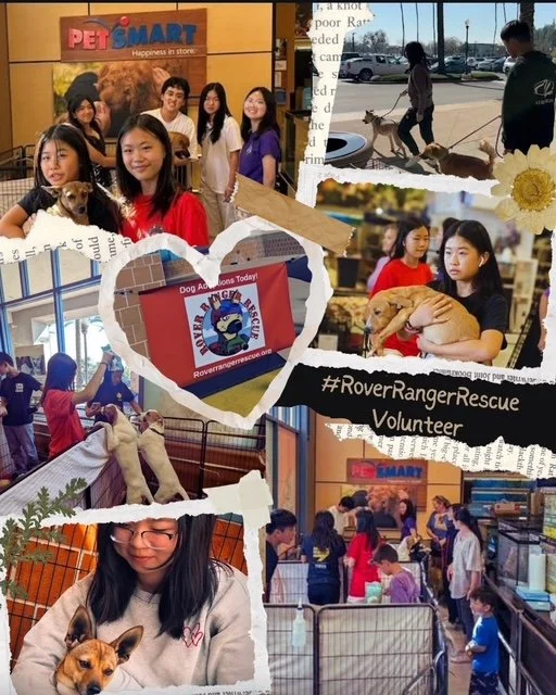 Dog Flyer 2-16-25.jpeg